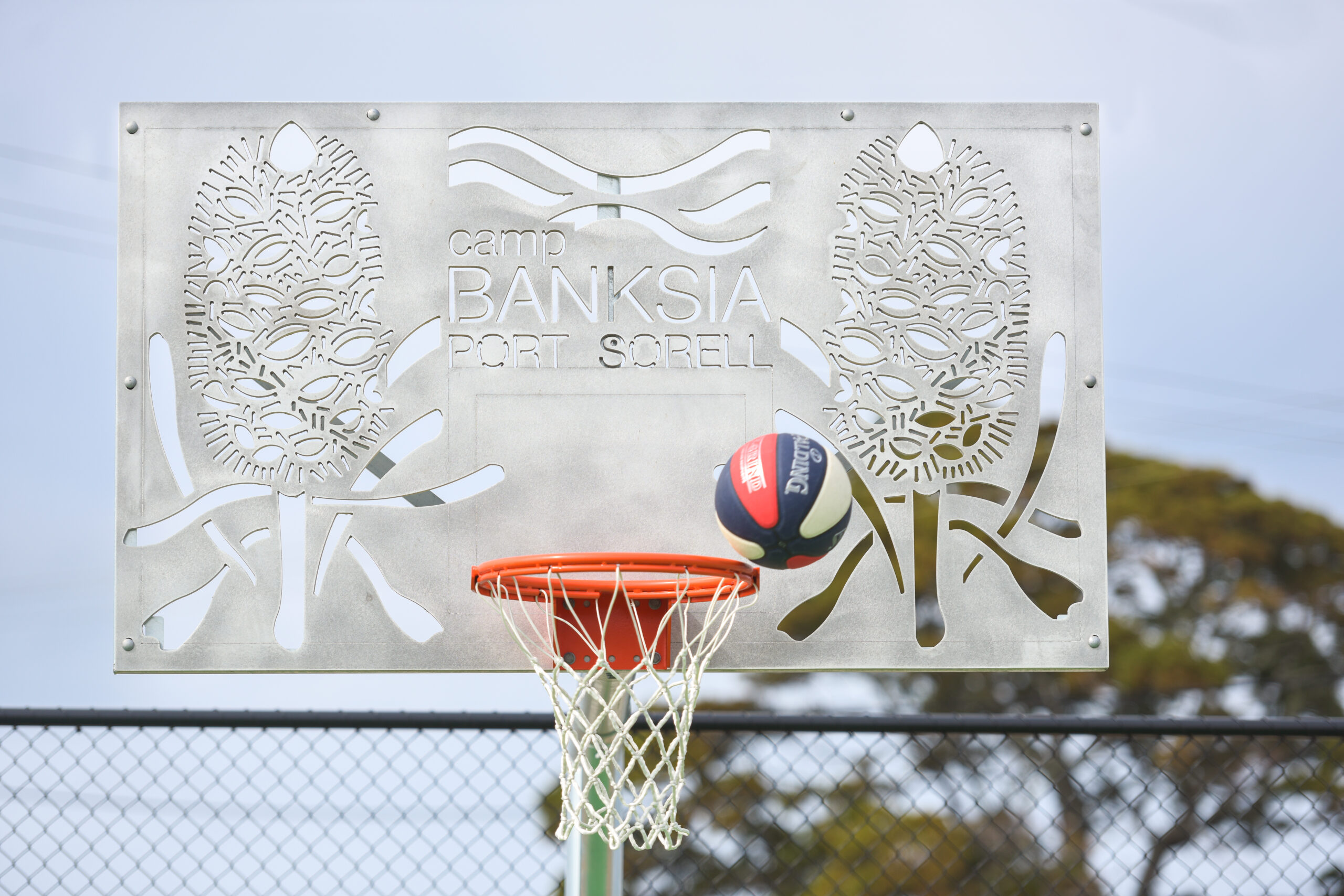 Basketball Ball Hoop Custom Backboard