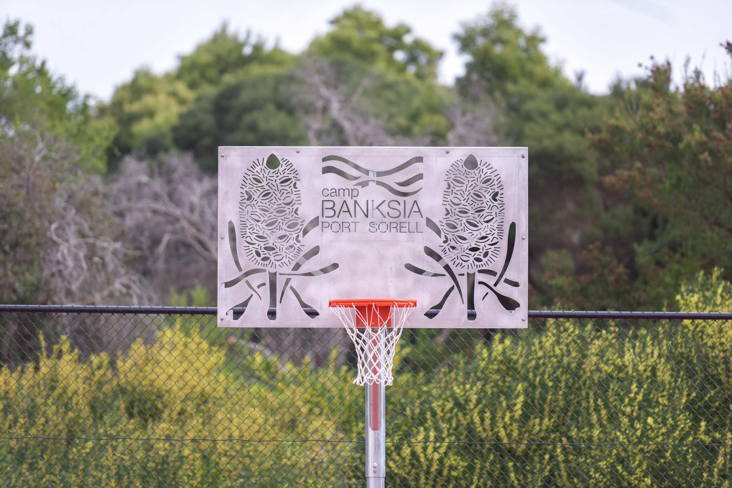 Basketball Ball Hoop Custom Backboard